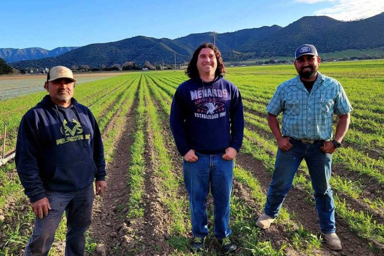 Three farmers standing in a field.