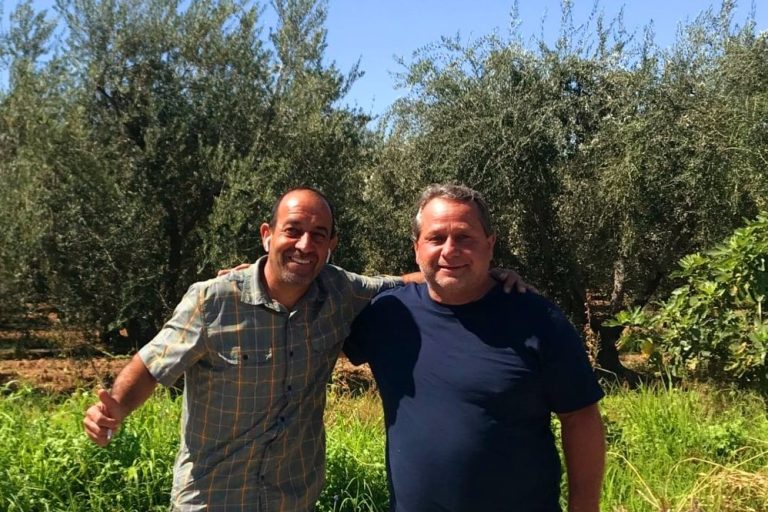 Two farmers in front of an olive orchard.