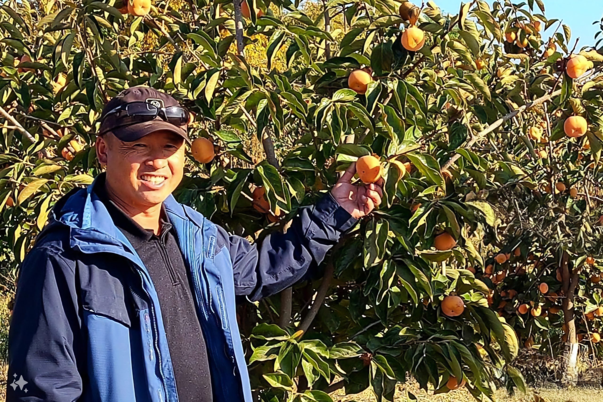 Farmer in field with oranges.