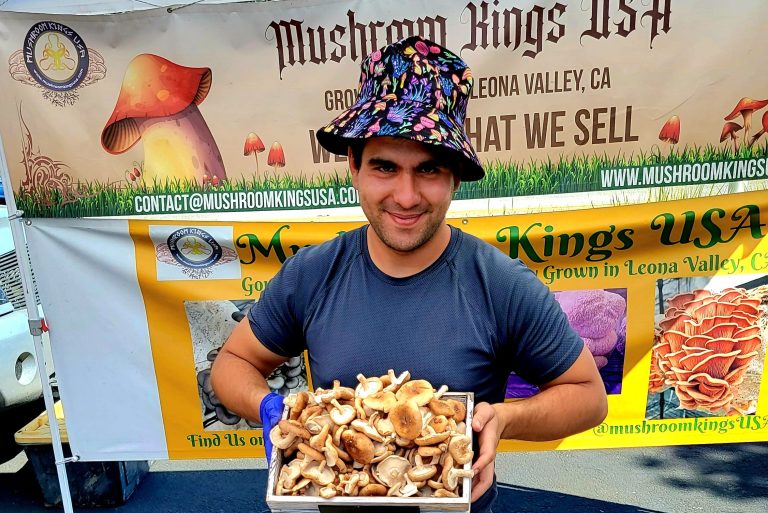 Man holding various mushrooms